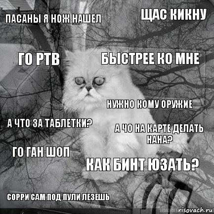 Пасаны я нож нашел А чо на карте делать нана? Быстрее ко мне сорри сам под пули лезешь А что за таблетки? Щас кикну как бинт юзать? го ртв го ган шоп Нужно кому оружие, Комикс  кот безысходность