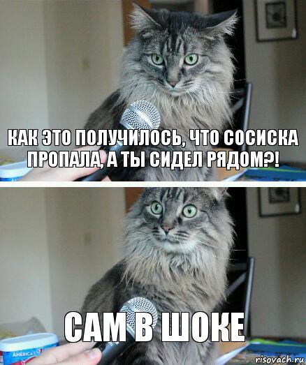 Как это получилось, что сосиска пропала, а ты сидел рядом?! САМ В ШОКЕ, Комикс  кот с микрофоном