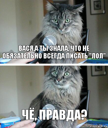 вася,а ты знала, что не обязательно всегда писать "лол" чё, правда?, Комикс  кот с микрофоном