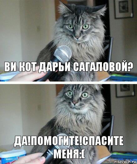 Ви кот Дарьи Сагаловой? Да!ПОМОГИТЕ!спасите меня:(, Комикс  кот с микрофоном