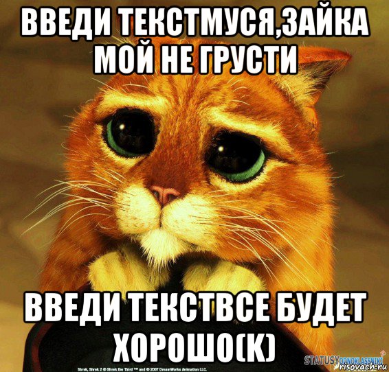 введи текстмуся,зайка мой не грусти введи текствсе будет хорошо(k), Мем Котик из Шрека