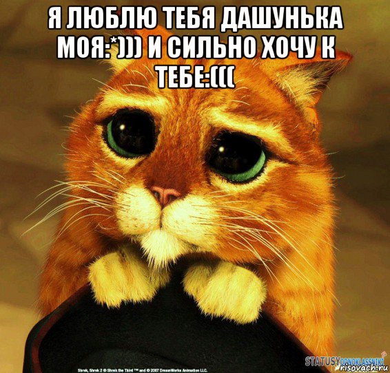 я люблю тебя дашунька моя:*))) и сильно хочу к тебе:((( , Мем Котик из Шрека