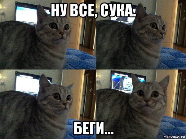 ну все, сука. беги..., Мем  Кот в шоке