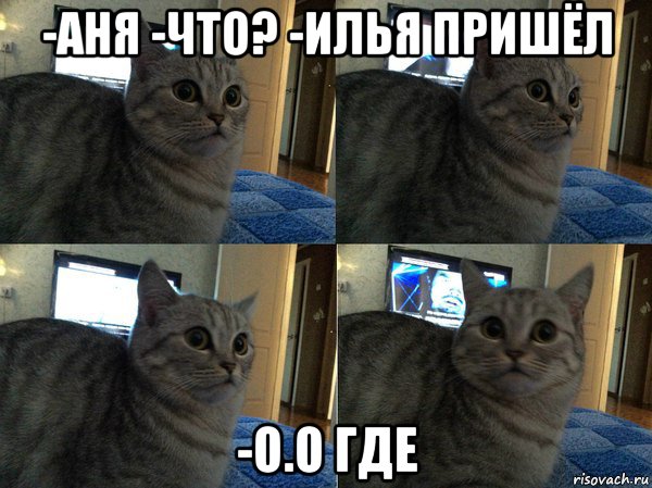 -аня -что? -илья пришёл -о.о где