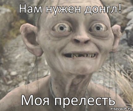 Моя прелесть Нам нужен донгл!