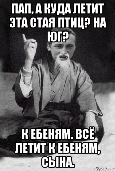 пап, а куда летит эта стая птиц? на юг? к ебеням. всё летит к ебеням, сына., Мем Мудрий паца