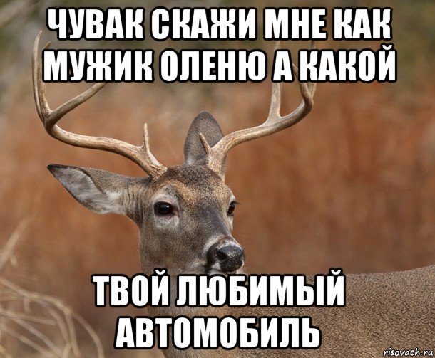 чувак скажи мне как мужик оленю а какой твой любимый автомобиль, Мем  Наивный Олень v2