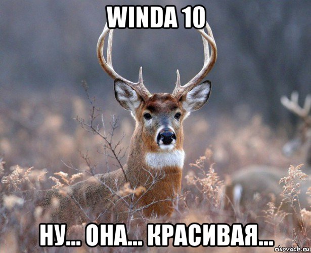 winda 10 ну... она... красивая..., Мем   Наивный олень