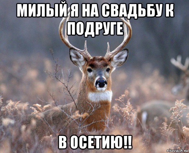 милый я на свадьбу к подруге в осетию!!