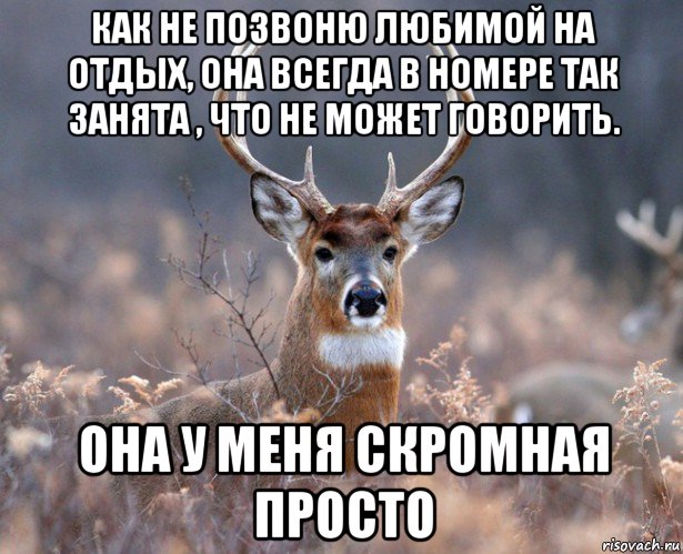 как не позвоню любимой на отдых, она всегда в номере так занята , что не может говорить. она у меня скромная просто