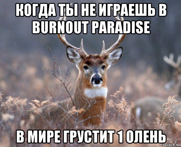 когда ты не играешь в burnout paradise в мире грустит 1 олень