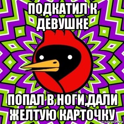 подкатил к девушке попал в ноги,дали желтую карточку, Мем Омская птица