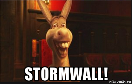  stormwall!, Мем Осел из Шрека