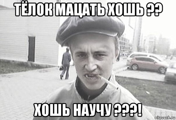 тёлок мацать хошь ?? хошь научу ???!, Мем Пацанська философия