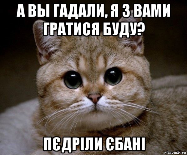 а вы гадали, я з вами гратися буду? пєдріли єбані, Мем Пидрила Ебаная