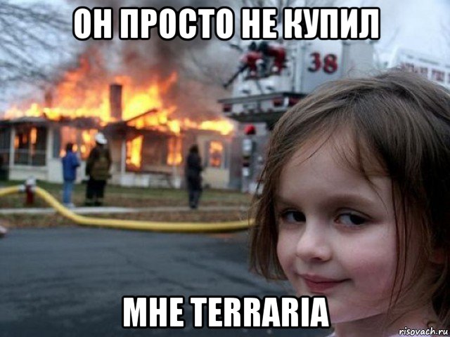 он просто не купил мне terraria, Мем Поджигательница