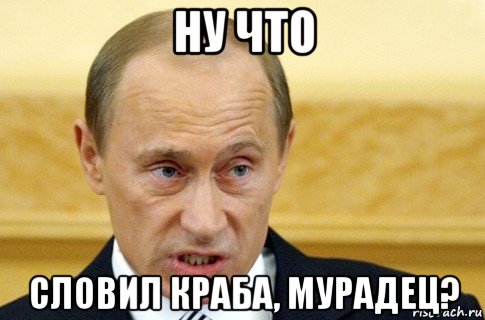 ну что словил краба, мурадец?, Мем путин