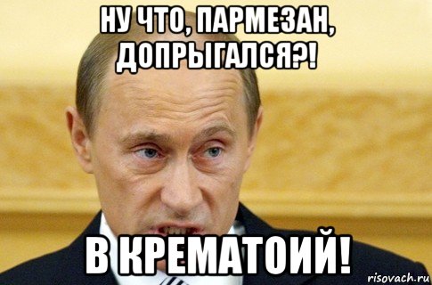 ну что, пармезан, допрыгался?! в крематоий!, Мем путин