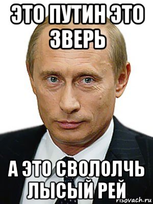 это путин это зверь а это свололчь лысый рей