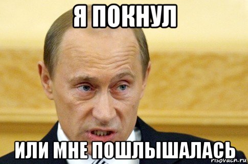 я покнул или мне пошлышалась, Мем путин