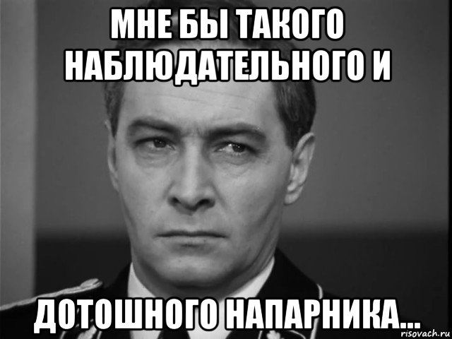 Юстас алексу что это