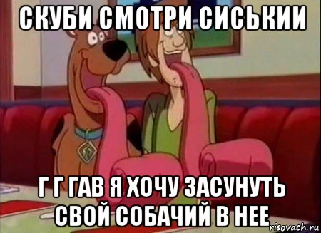 скуби смотри сиськии г г гав я хочу засунуть свой собачий в нее, Мем Скуби ду