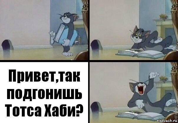 Привет,так подгонишь Тотса Хаби?