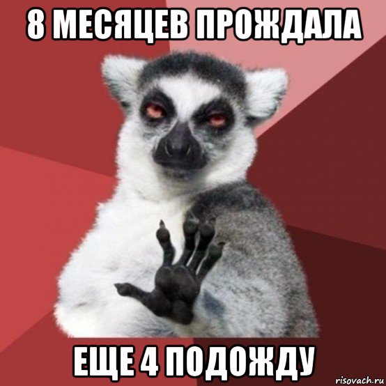 8 месяцев прождала еще 4 подожду, Мем Узбагойзя