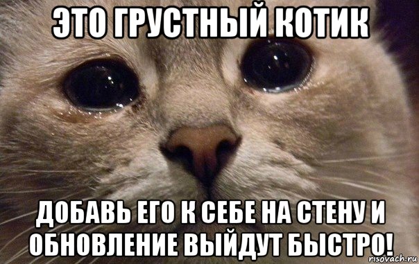 это грустный котик добавь его к себе на стену и обновление выйдут быстро!, Мем   В мире грустит один котик