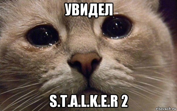 увидел s.t.a.l.k.e.r 2, Мем   В мире грустит один котик