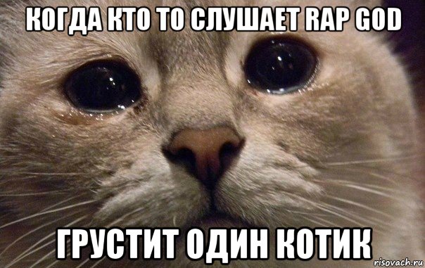 когда кто то слушает rap god грустит один котик, Мем   В мире грустит один котик