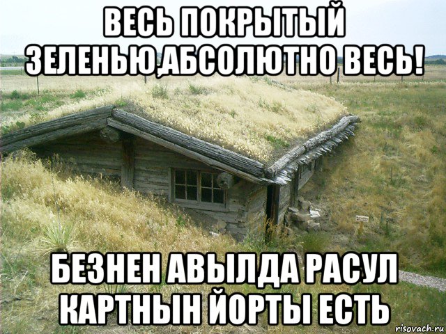 Весь покрытый зеленью абсолютно весь. Изготовлениеземлянок Мем. Весь покрытый зеленью абсолютно весь Мем. Мем землянка девушка и рептилоидка. Авылда стихотворение.