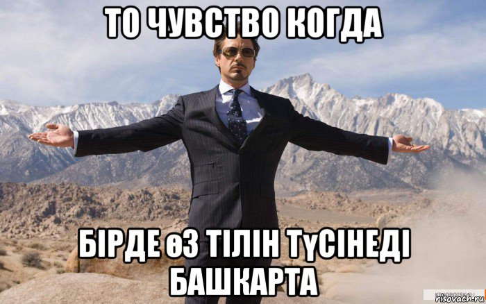 то чувство когда бірде өз тілін түсінеді башкарта, Мем железный человек