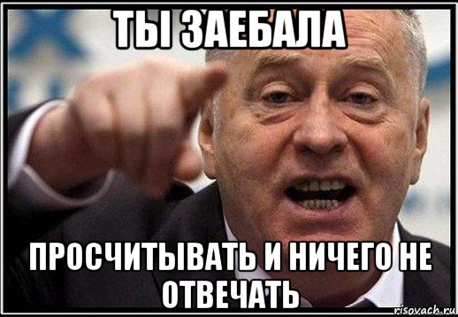 ты заебала просчитывать и ничего не отвечать, Мем жириновский ты