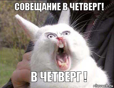 СОВЕЩАНИЕ В ЧЕТВЕРГ! В ЧЕТВЕРГ !, Комикс а