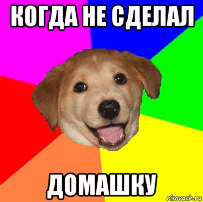 когда не сделал домашку, Мем Advice Dog