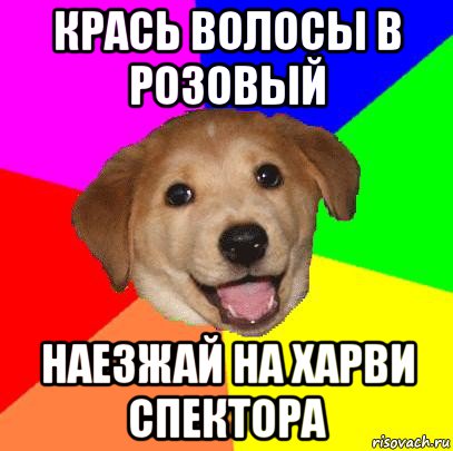 крась волосы в розовый наезжай на харви спектора, Мем Advice Dog