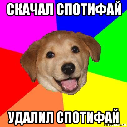 скачал спотифай удалил спотифай, Мем Advice Dog