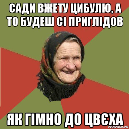 сади вжету цибулю, а то будеш сі приглідов як гімно до цвєха, Мем  Бабушка