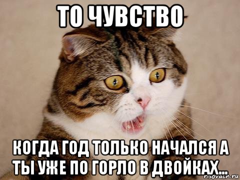 то чувство когда год только начался а ты уже по горло в двойках..., Мем бешеный кот