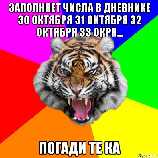 заполняет числа в дневнике 30 октября 31 октября 32 октября 33 окря... погади те ка, Мем  ДЕРЗКИЙ ТИГР