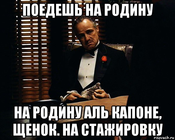 поедешь на родину на родину аль капоне, щенок. на стажировку, Мем Дон Вито Корлеоне