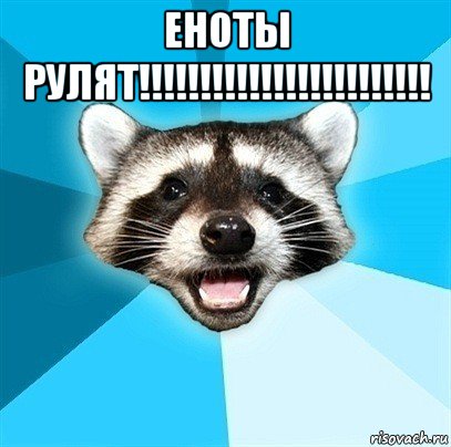 еноты рулят!!!!!!!!!!!!!!!!!!!!!!!! , Мем Енот-Каламбурист