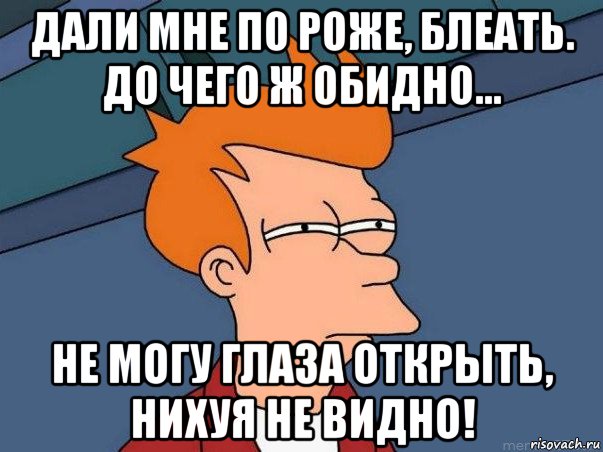 дали мне по роже, блеать. до чего ж обидно... не могу глаза открыть, нихуя не видно!, Мем  Фрай (мне кажется или)