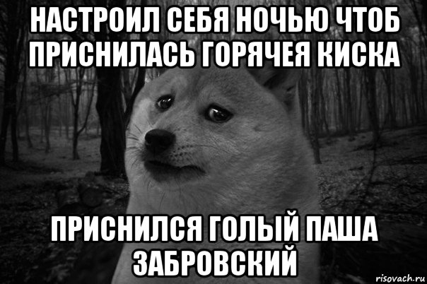 настроил себя ночью чтоб приснилась горячея киска приснился голый паша забровский