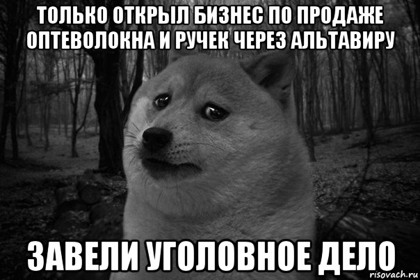 только открыл бизнес по продаже оптеволокна и ручек через альтавиру завели уголовное дело