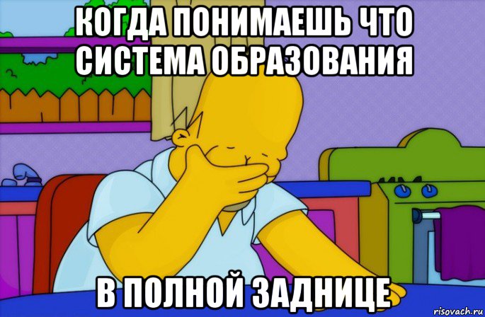 когда понимаешь что система образования в полной заднице, Мем Homer simpson facepalm