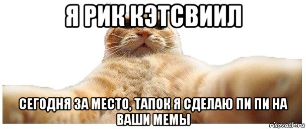 я рик кэтсвиил сегодня за место, тапок я сделаю пи пи на ваши мемы, Мем   Кэтсвилл