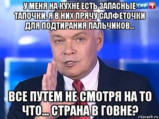 у меня на кухне есть запасные тапочки. я в них прячу салфеточки для подтирания пальчиков... все путем не смотря на то что... страна в говне?, Мем Киселёв 2014