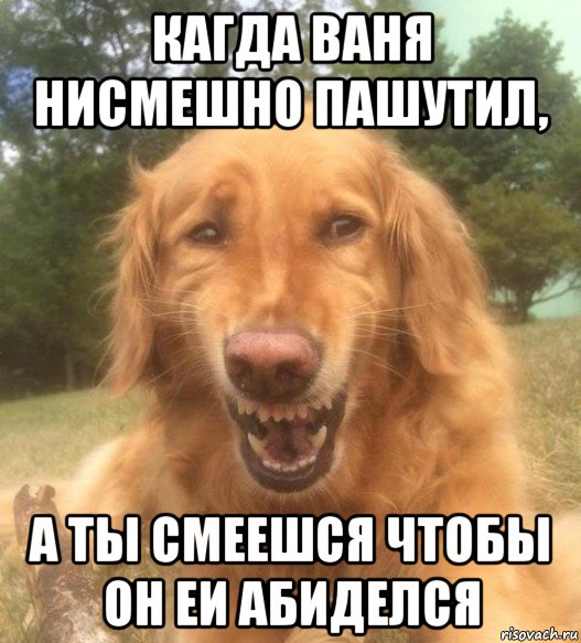 кагда ваня нисмешно пашутил, а ты смеешся чтобы он еи абиделся, Мем   Когда увидел что соседского кота отнесли в чебуречную